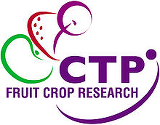 Collaborative Training Partnership for Fruit Crop Research (CTP FCR) funded by BBSRC and Industry